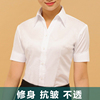 夏女士(夏女士)短袖纯色，衬衫白色v领修身职业装粉红色半袖衬衣正装工作服