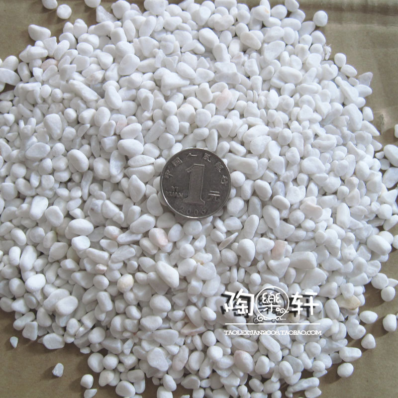 汉白玉石 小号白砂石子养花水培 园艺花盆花瓶鱼缸装饰 300g|一淘网优惠购|购就省钱