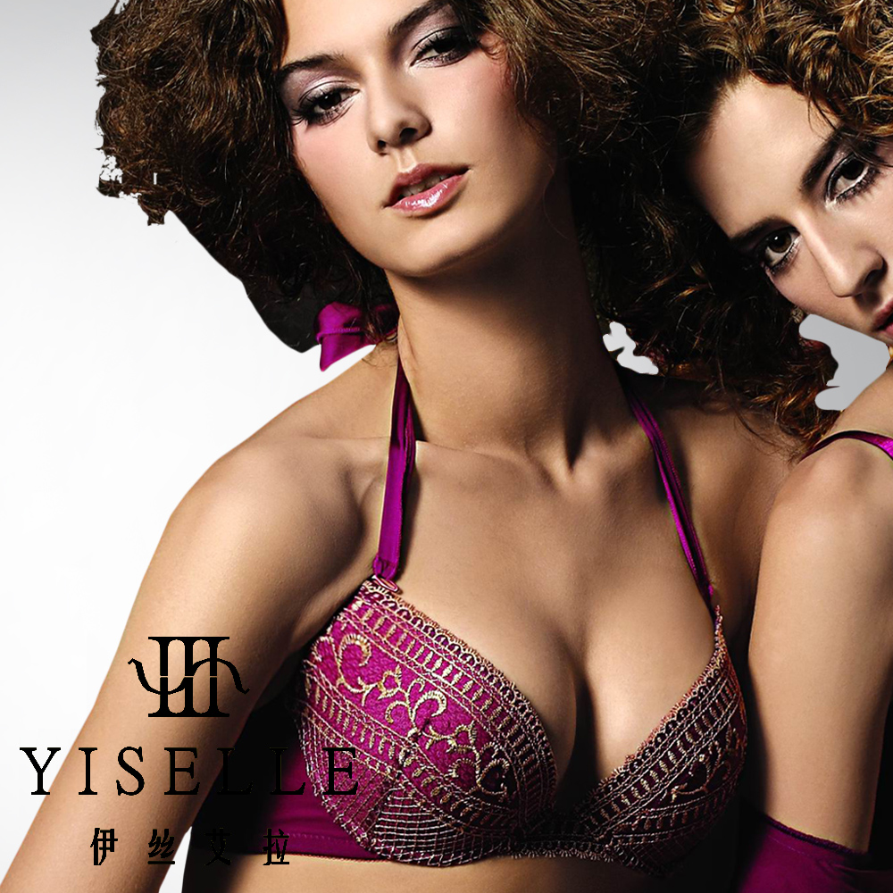 特价<em>伊丝艾拉</em>正品 古堡<em>刺绣 文胸</em>女式内衣826