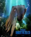 3d蓝光碟 3d蓝光电影 蓝光3d电影碟片 海底猎奇 3d电影 片源